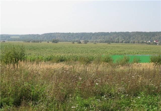 Участок 25 соток, Новорижское ш, Москва-река Звенигород