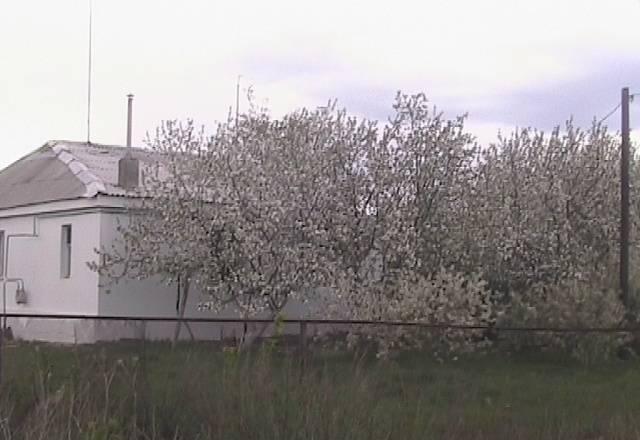 Дом под Саратовом Архангельск