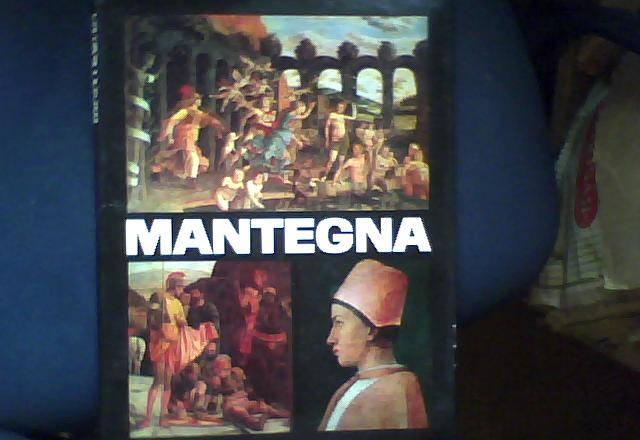 Mantegna Санкт-Петербург