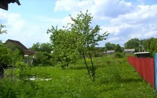Участок 10 соток в СНТ каширское шоссе Серебряные Пруды