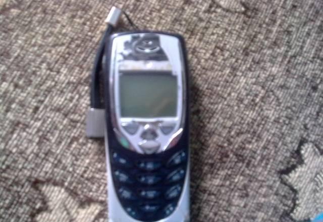 8310 Санкт-Петербург