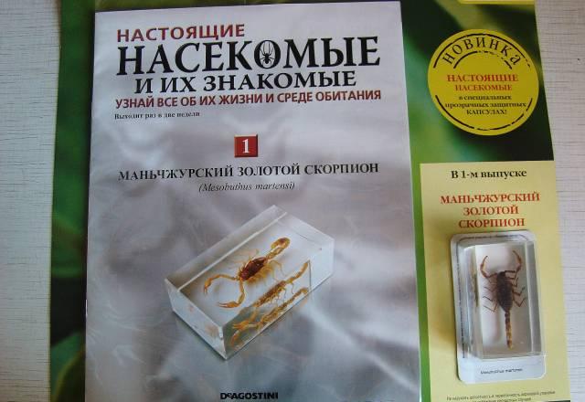 "Насекомые и их знакомые" Москва