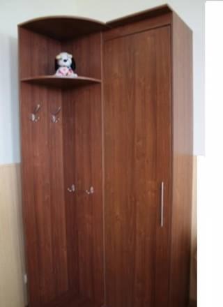 Шкаф приставной угловойдл.1050/900, в.2350, гл.450 Москва