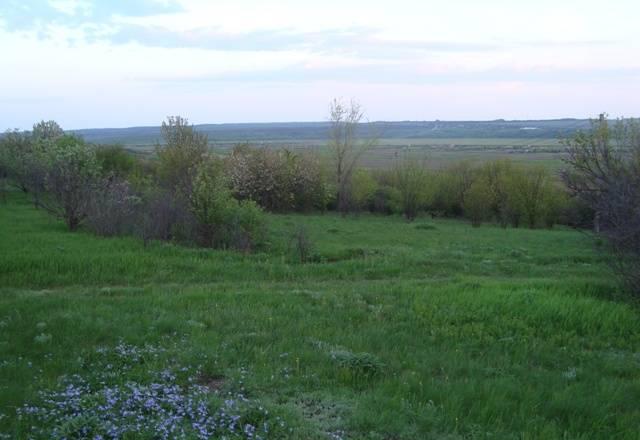 Участок, р-н п.Щепкип 70т.р Ростов-на-Дону