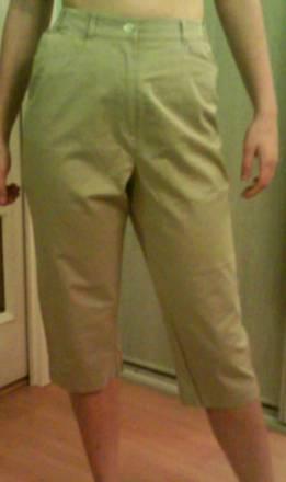 Бриджи бежевые Москва