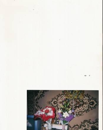 Ковер + дорожка Москва