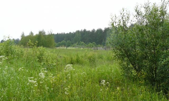 Продам земельный участок 10 соток в деревне Бортни Клин
