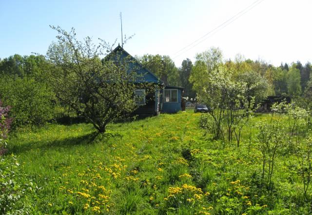 Дом Санкт-Петербург