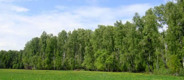 Участок 10 соток в "Лесном озере" по Симеропольск Москва
