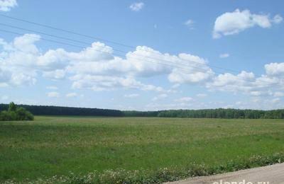 Участок 100 соток  -  1,5 часа от Москвы Москва