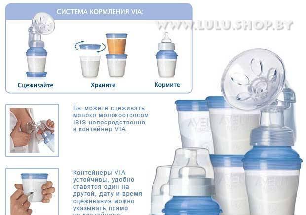 Avent Молокоотсос isis + подарок Москва