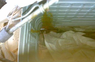 Юрюзань Москва