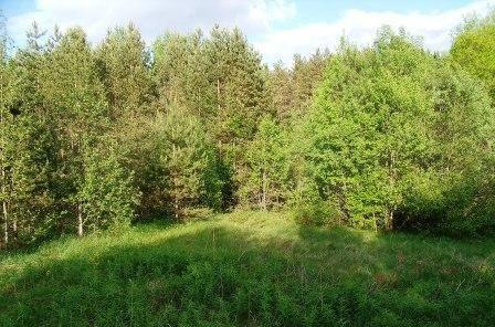 Участок 10 соток около Сосново Выборг