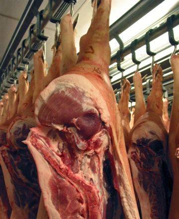 Быки 95+, коровы 110 Москва