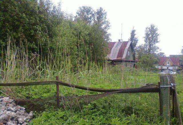 Красносельский р-н, Талинское шоссе Санкт-Петербург