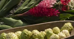 Cок Нони (tahitian noni) в Санкт-Петербурге Санкт-Петербург
