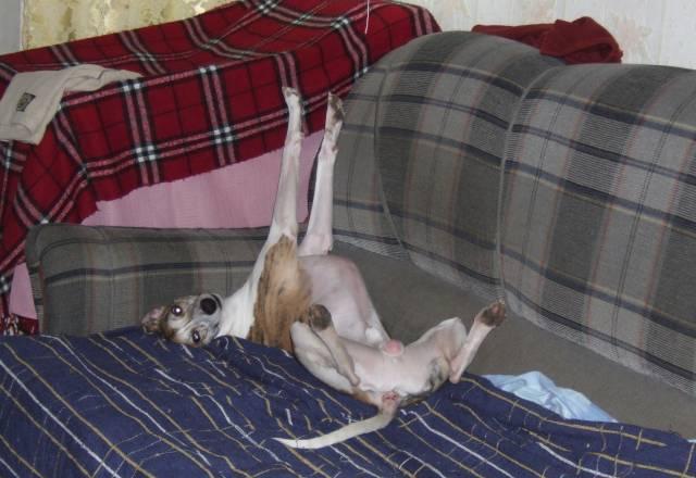 Мебель выгодно ) Москва