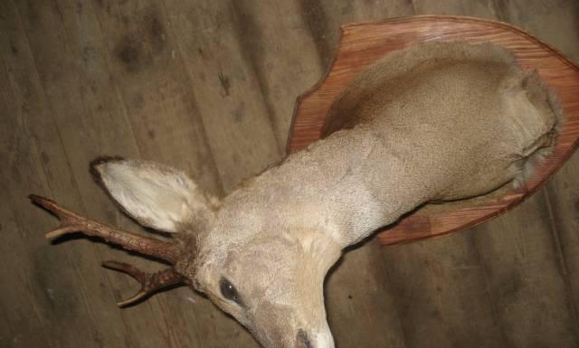 Чучела ч.3 Москва