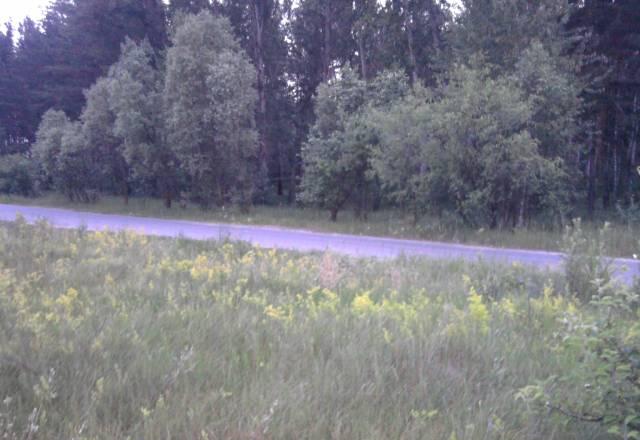 Участок под застройку Новая Усмань