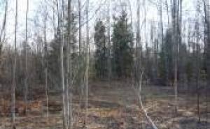 Участок Санкт-Петербург