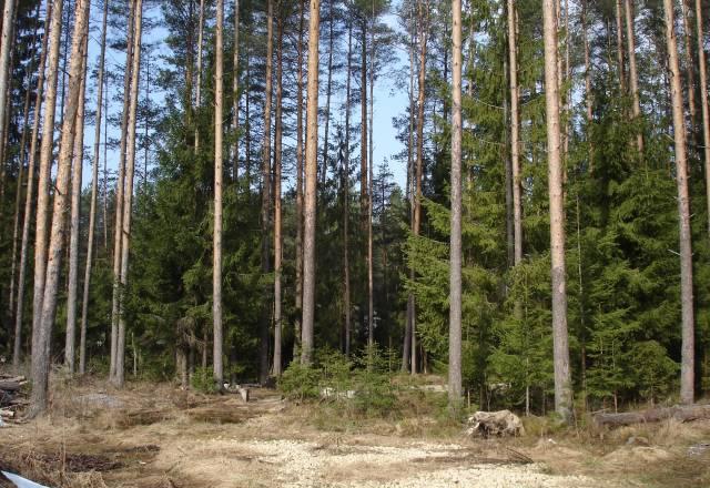 Земельный участок 14,5 сот в вырице Вырица