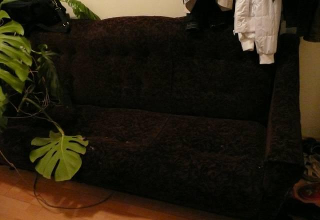 Диван - книжка Москва