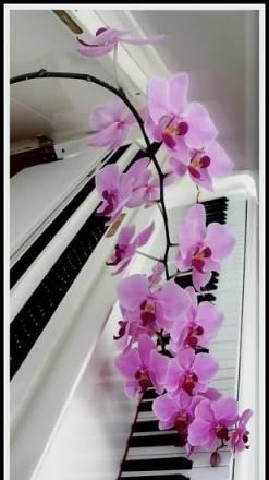 Рояли Yamaha Москва