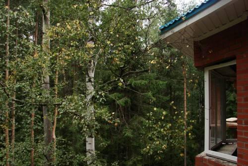 Квартира  от собственника в Новое  Девяткино Санкт-Петербург