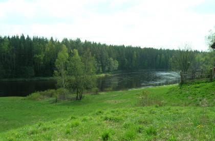 15 соток (на фото) у берега р. Волга Москва