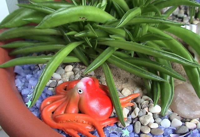 Миниатюрный садик Остров Москва