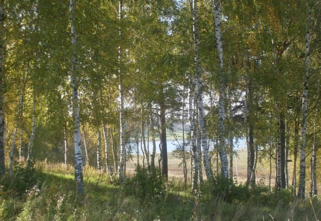 Продам участок в александрове Москва