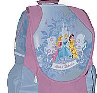 Рюкзак 400х330х170мм с ортопедической спинкой Disn Санкт-Петербург