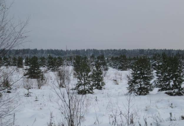 100 соток за 595 000 руб.река,лес, озеро Москва
