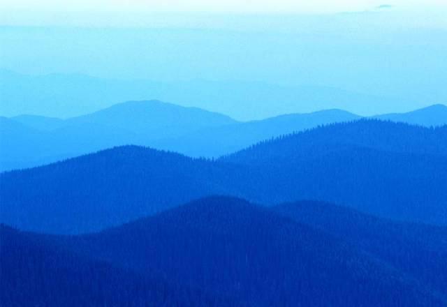 Юрист Санкт-Петербург