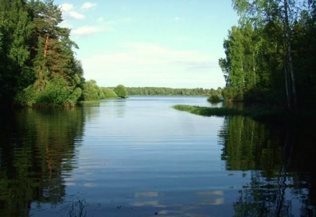 Участок 19 соток, река Волга, лес, пляж Мышкин