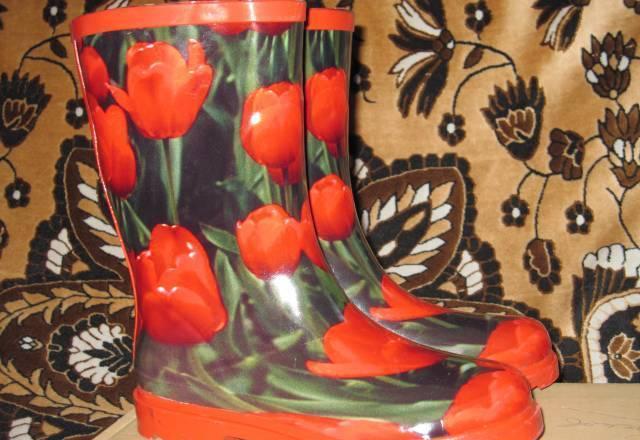 Резиновые сапожки Санкт-Петербург