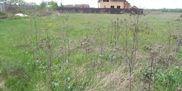 Участок в Старой Купавне 20 соток Старая Купавна