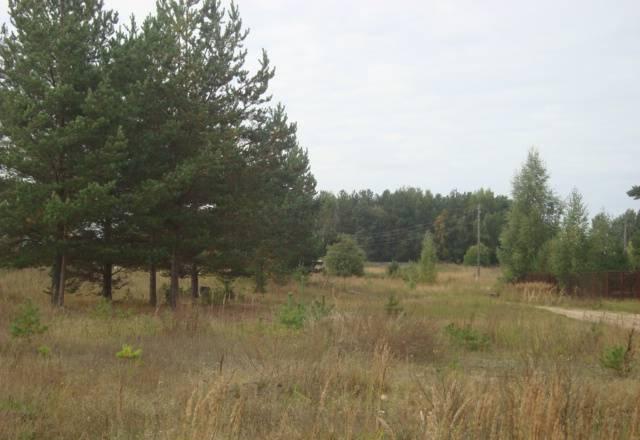 Продам дом в сосновом лесу Переславский район Переславль-Залесский