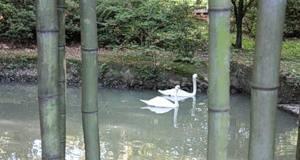 Семейный отдых в п. Лоо на берегу Черного моря Краснодар