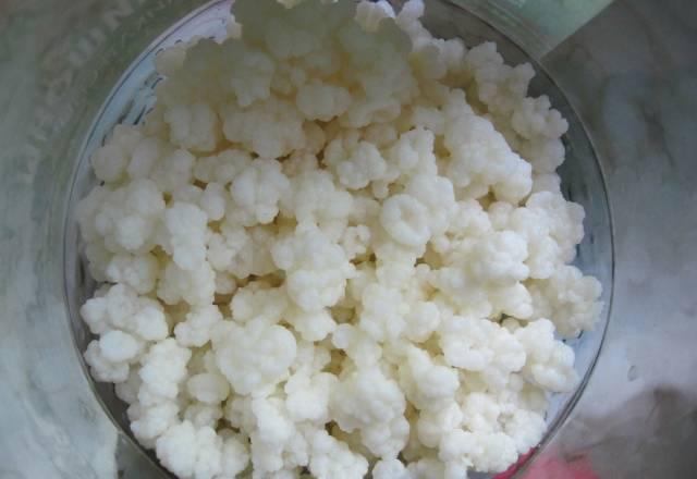 Морской рис, Кефирный гриб - бесплатно Москва