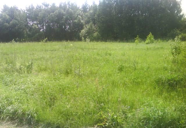 Участок Новорязанское ш. 20 соток Москва