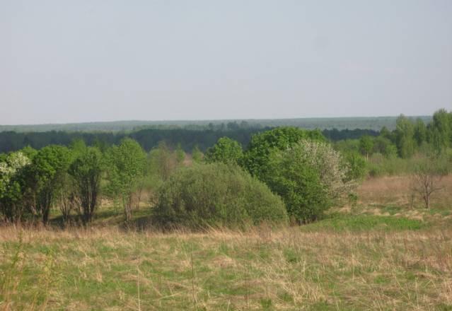 Продам участок в живописном месте Александров