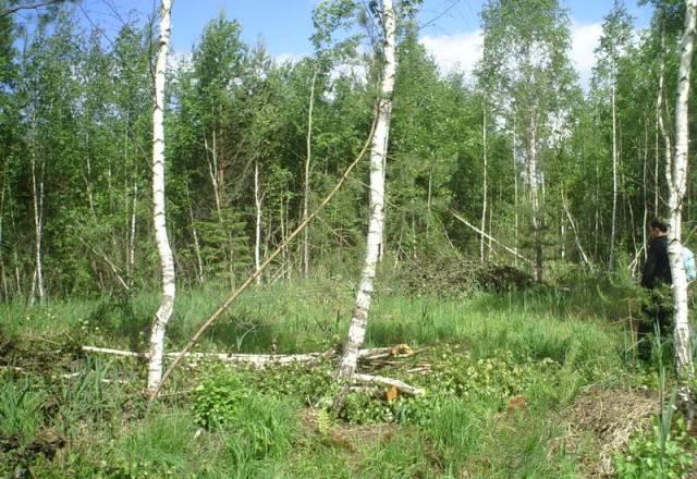 Дачный участок, 60 км.горьк.ш.от МКАД Павловский Посад