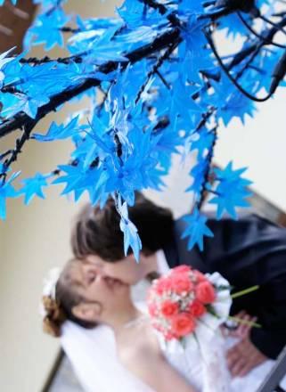 Свадебный фотограф в Туле Тула