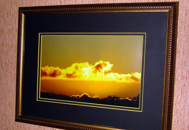 Фотокатина, авторская работа Брянск