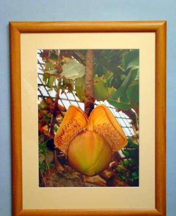 Фотокартина, авторская работа Брянск