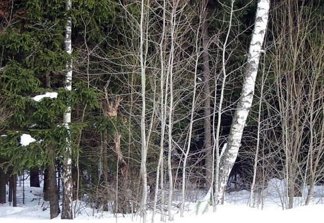 Продается  участок 50 сот. , м Москва