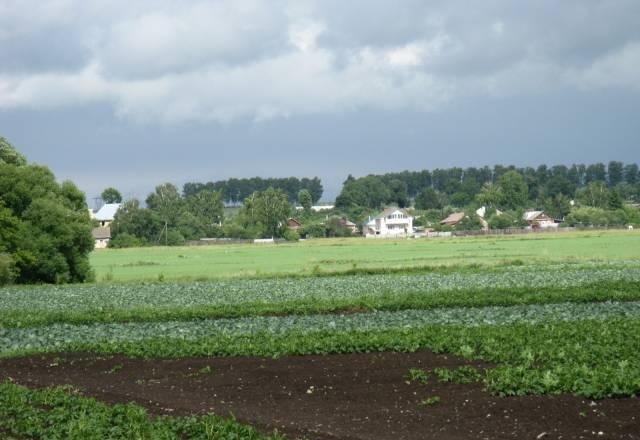 9 соток ижс на Оке у Коломны.Автобусы до выхино Москва