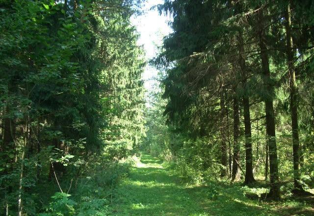 Продается  участок 12 сот. , е Москва