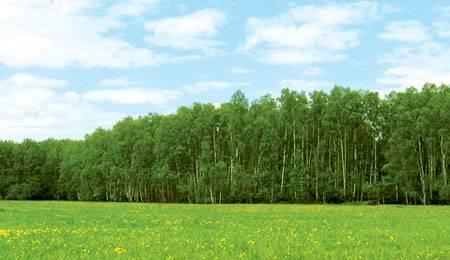 Земельный участок 10 соток в Серпуховском районе Москва